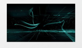 视频素材,探寻视觉叙事的魅力