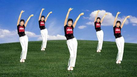 跳舞视频教学广场舞